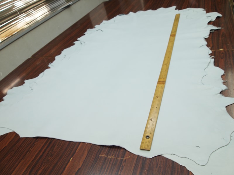 Mjpa014292