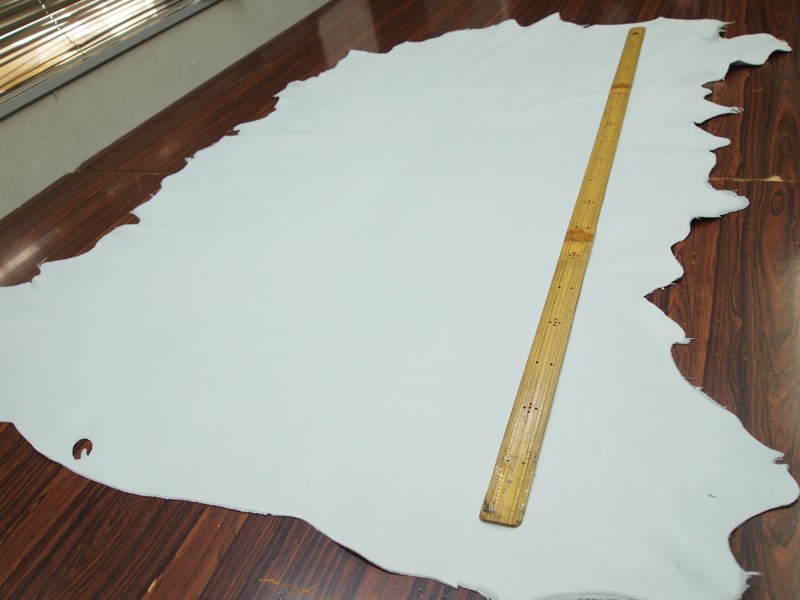 Mjpa014298