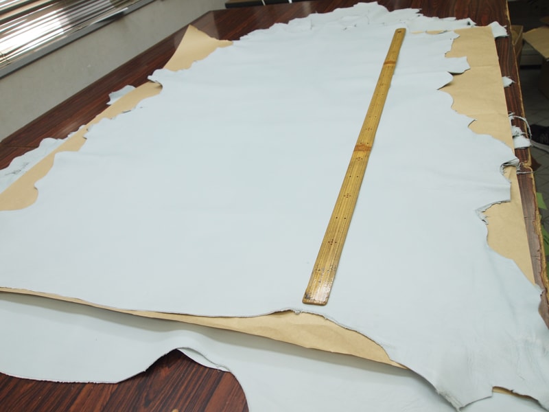 Mjpa024301