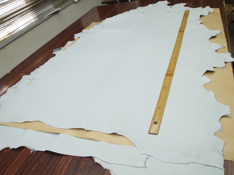 Mjpa024307