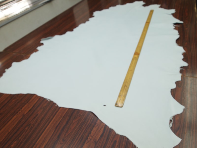 Mjpa024319