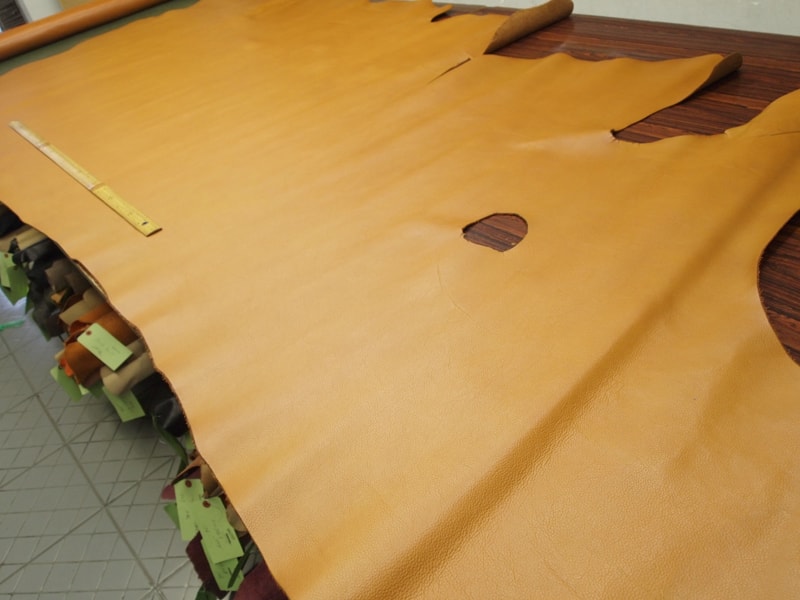 Mjpa084474