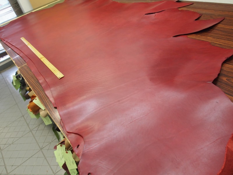 Mjpa094576