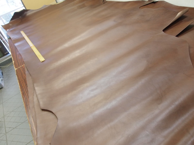 Mjpb075588