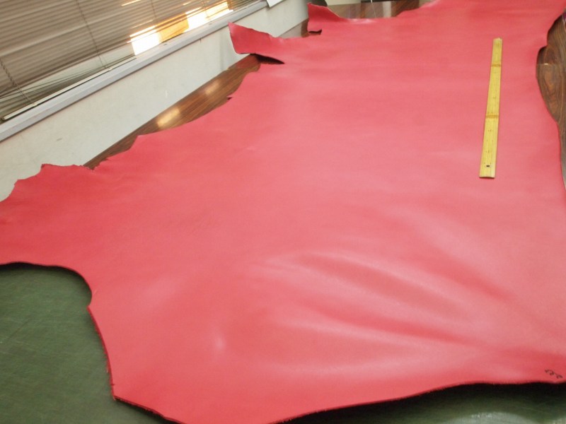 P4169161