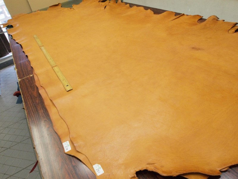P6040211
