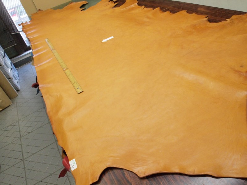 P6040217