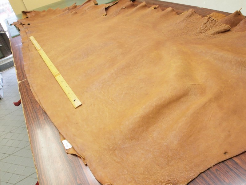 P6040226