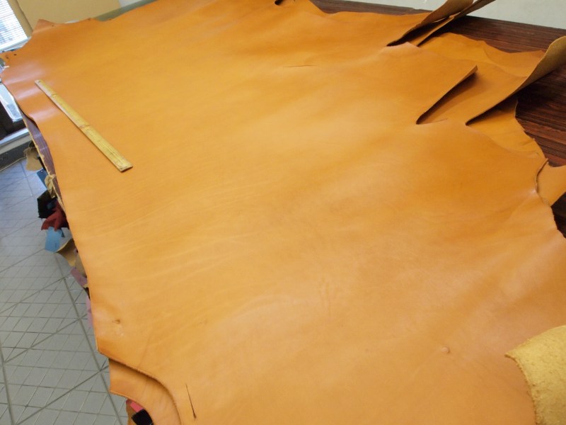 P6050300