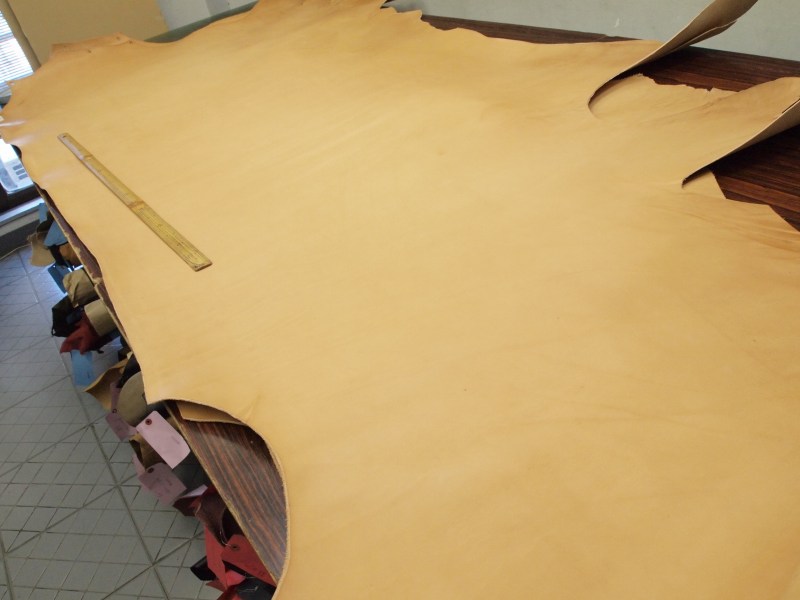 P6050330