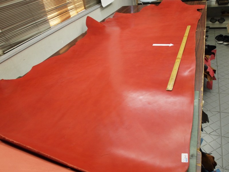 P7020839