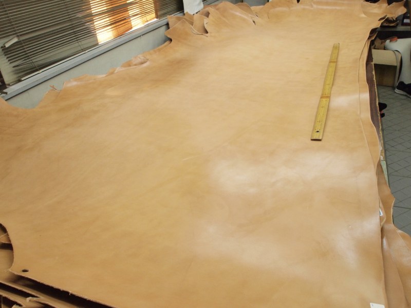 P7231482