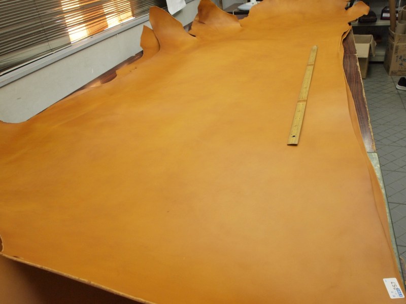 P7301816