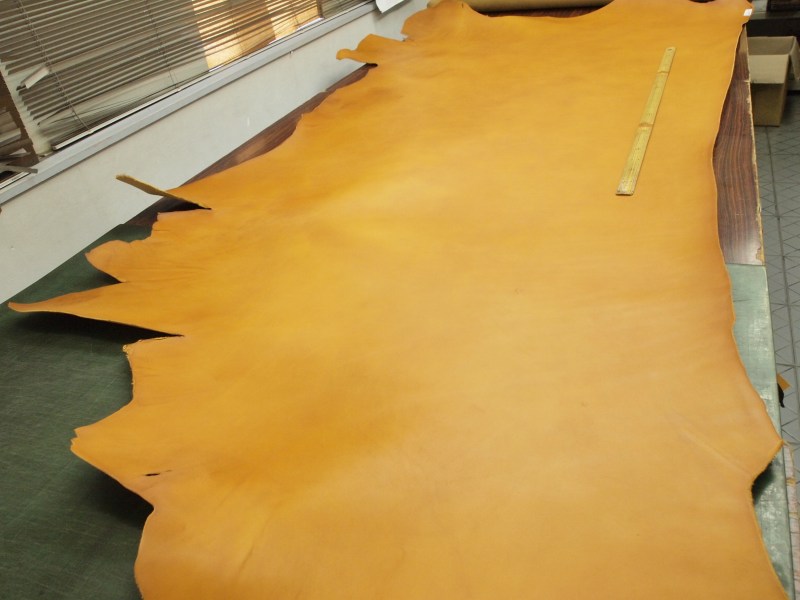P7301831