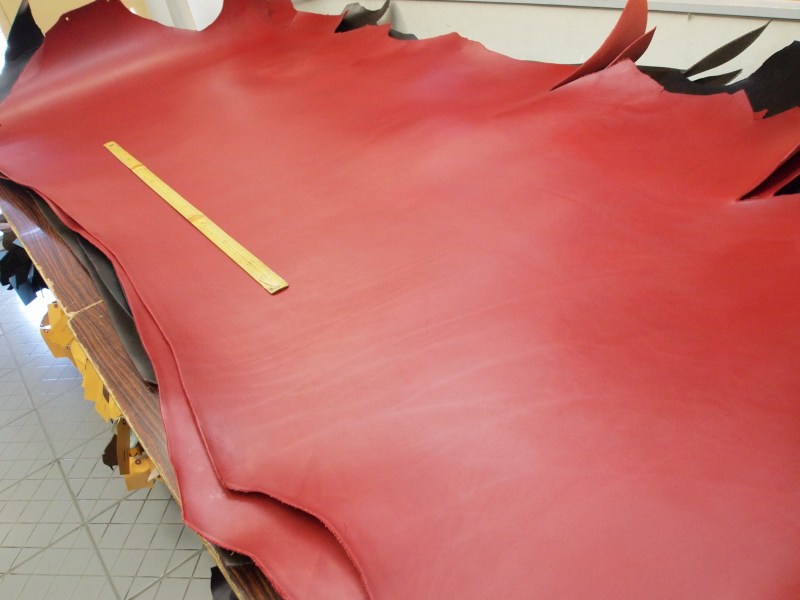 P8272305