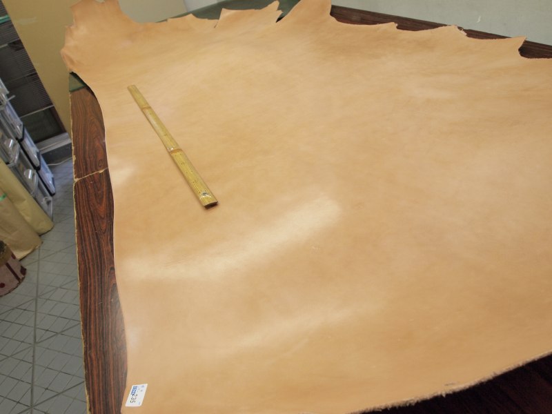 P7089341