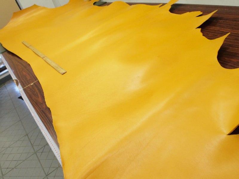 P7229666