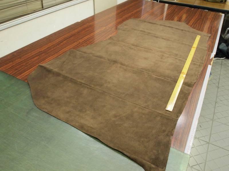 P7309898