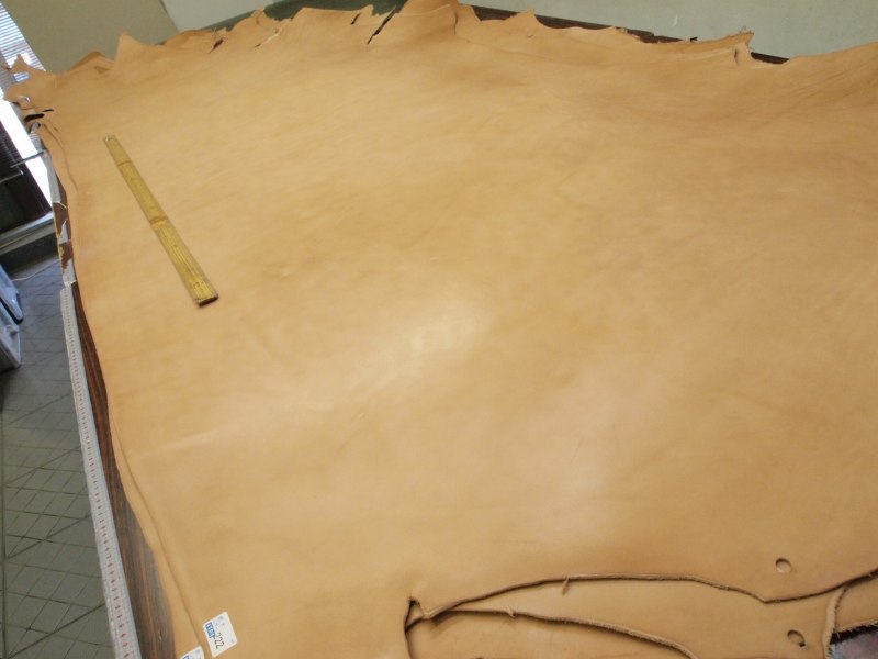 P8060031