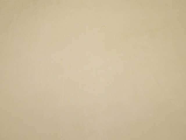 P2131080