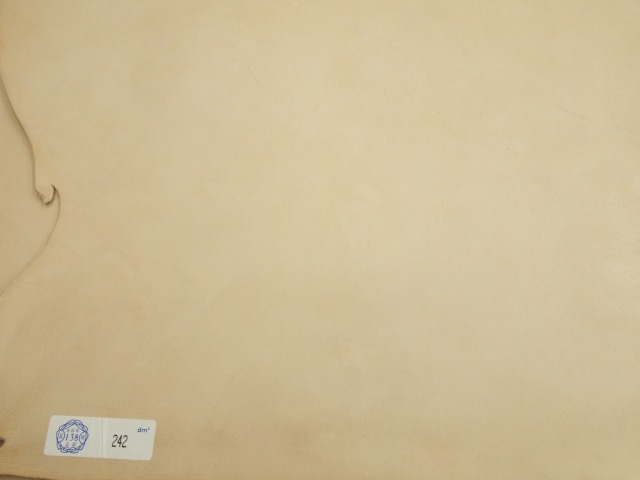 P2131086