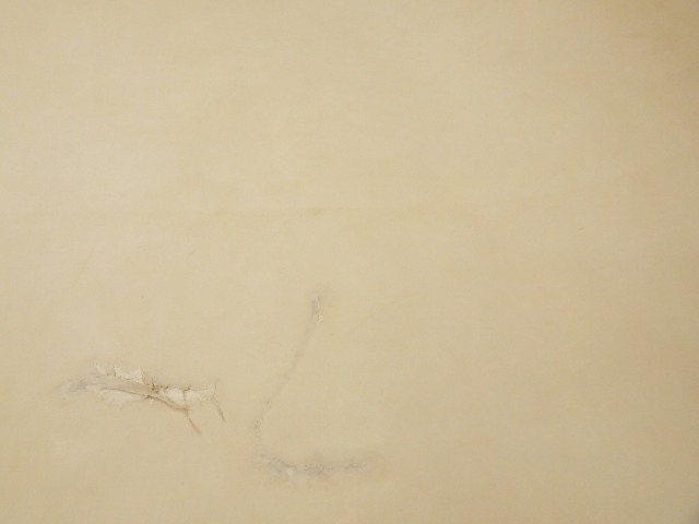 P2131116