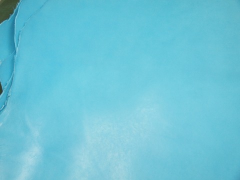 P4173426