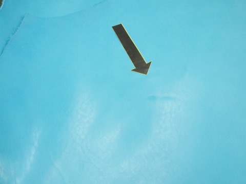 P4173432