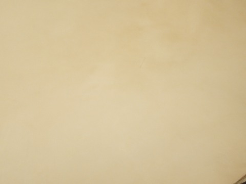 P5084253