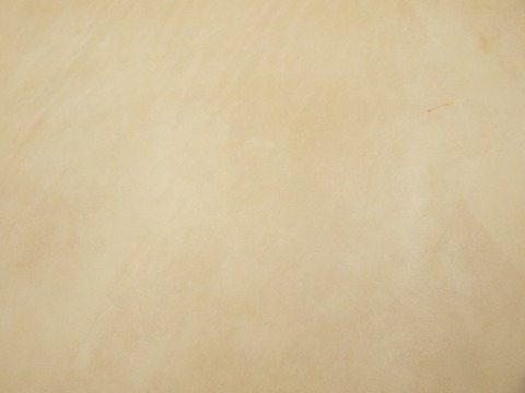 P5294897
