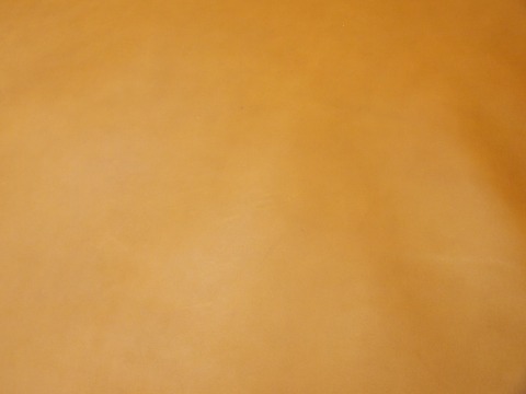 P6055346
