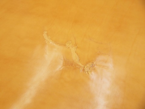 P7317762