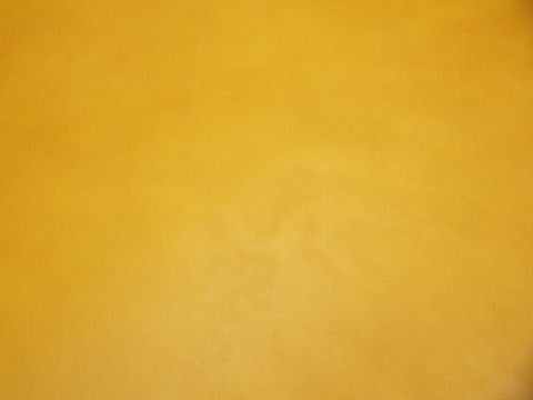 P7317837