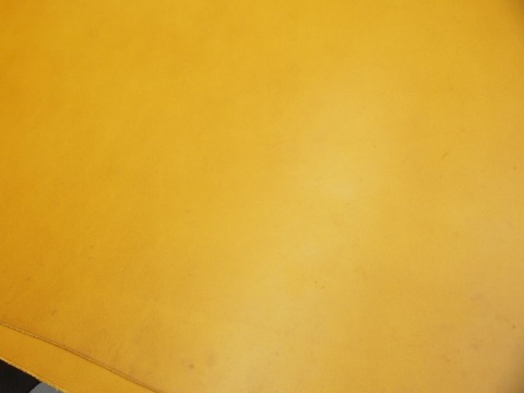 P7317840