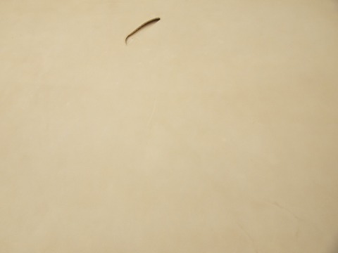 P9119015