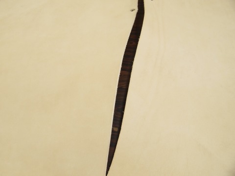 P9269483