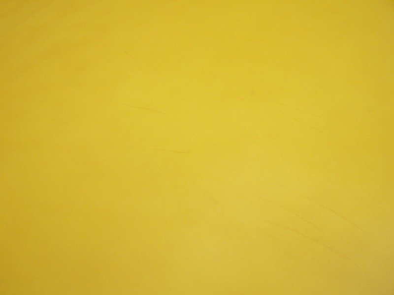 P7150584