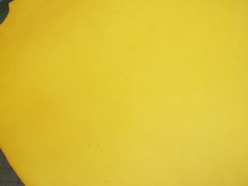 P7150590