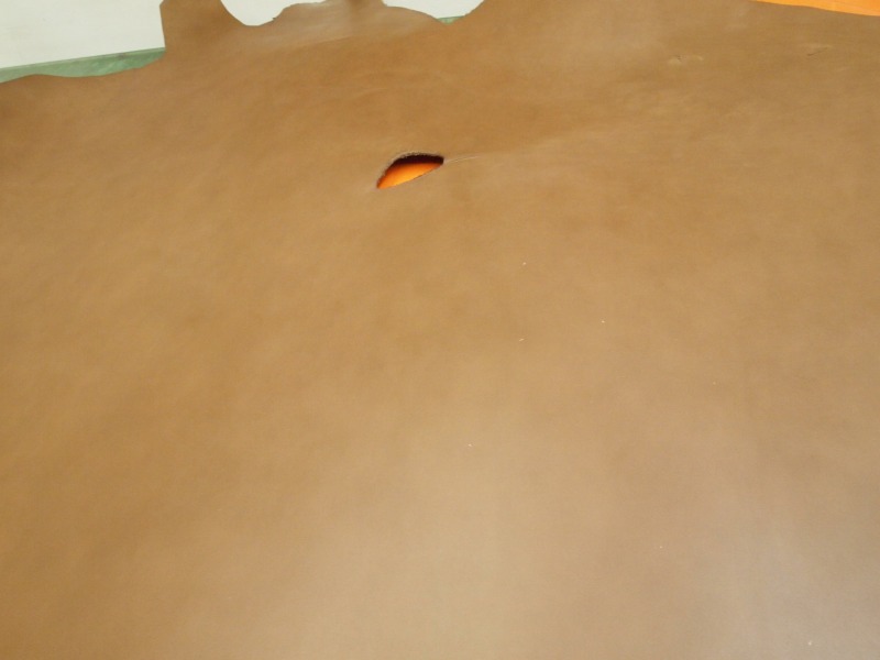 P8261535