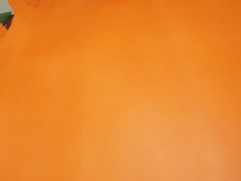 P8261538