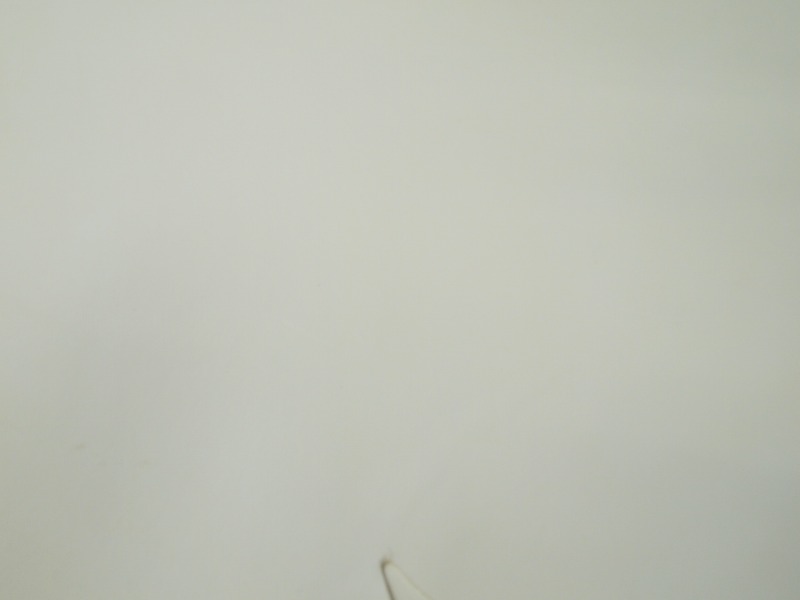 P4148642