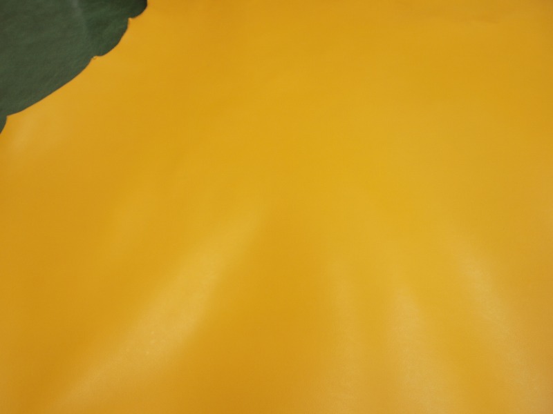 P5260122