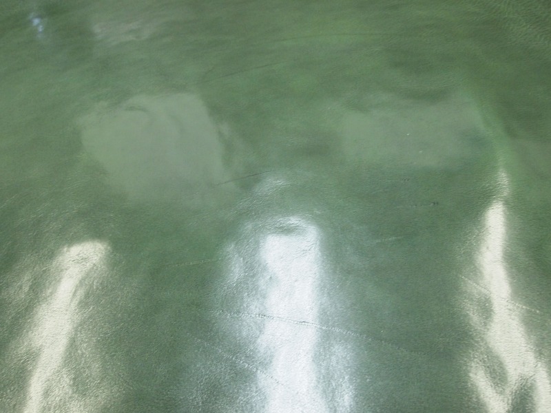 P8259994