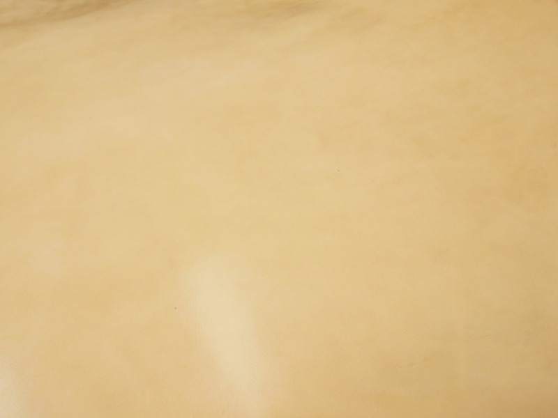 Pa061325