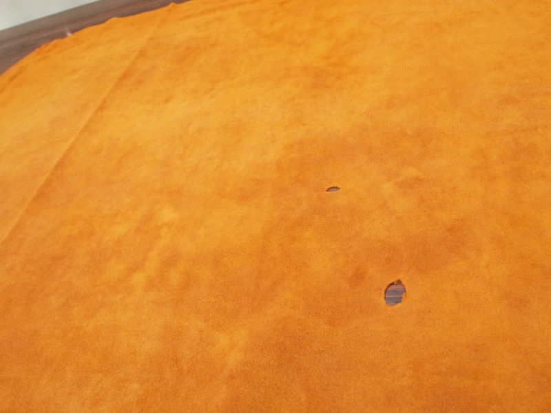 P1254045