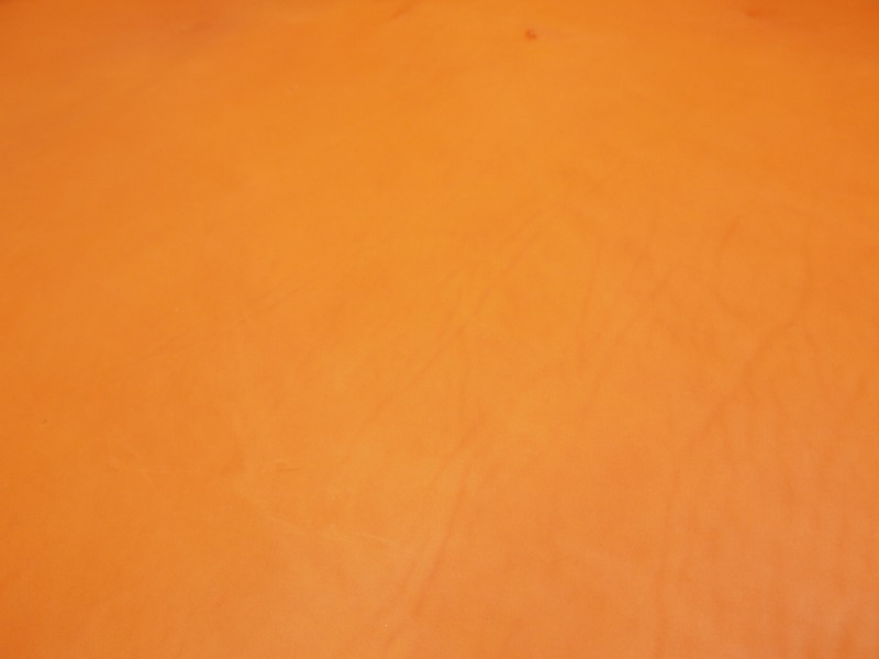 P4205717