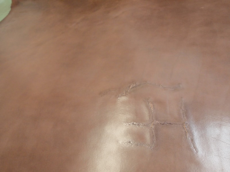 Mjpa120568