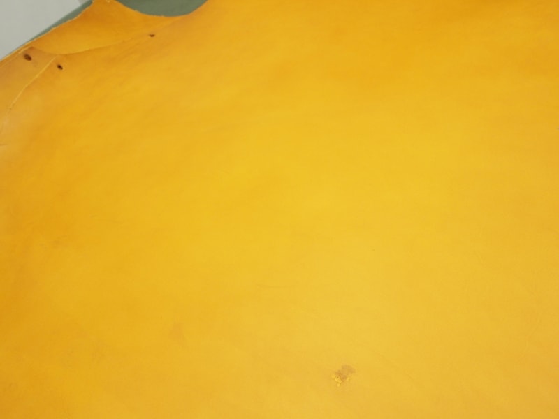 Mjpa040892