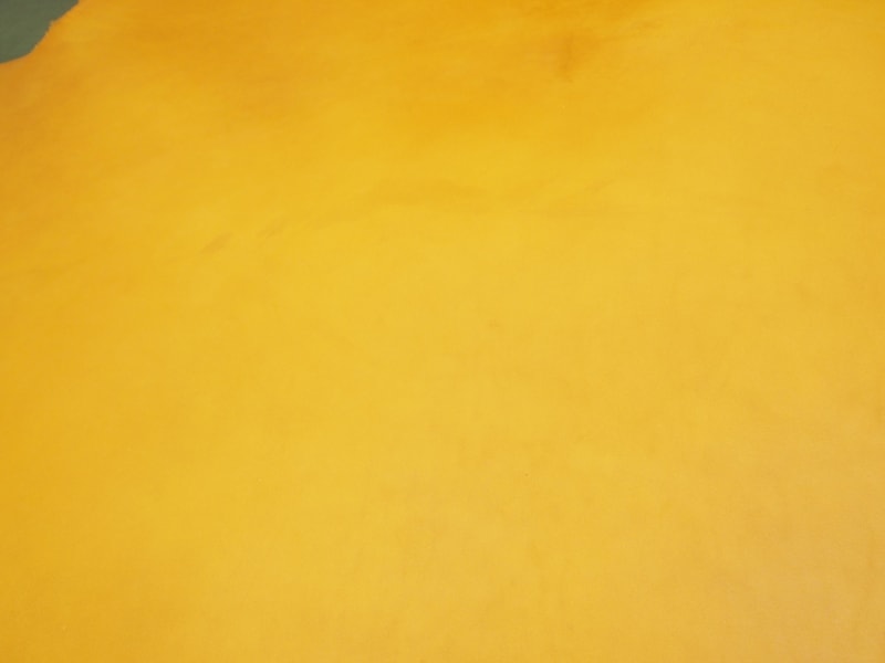 Mjpa040895