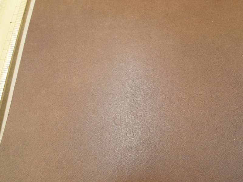 Mjpa111079